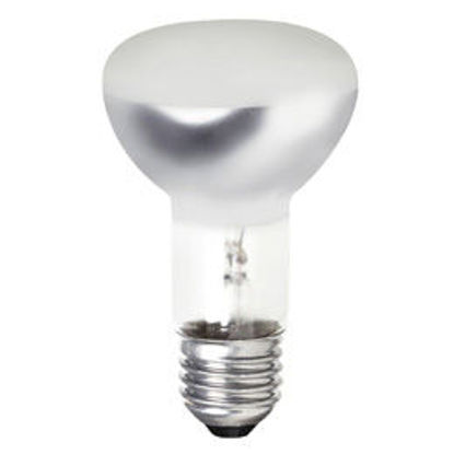 Picture of R80 Incandescent Reflector Lamps