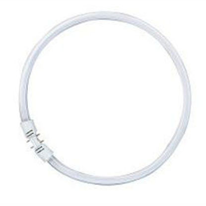 Picture of Osram T5 16mm Circular Fluorescent Lamps (12 Pack)