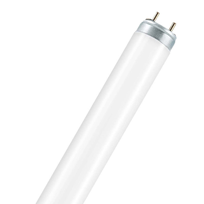 Picture of 18W, T8, Fluorescent Tubes (25 Pack)