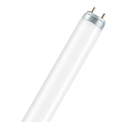 Picture of Tri-Phosphor T8 Linear Fluorescent Lamps (25 Pack)