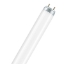 Picture of LEDVANCE LUMILUX T8 36W/3000K Fluorescent Lamp (Sold as 25)