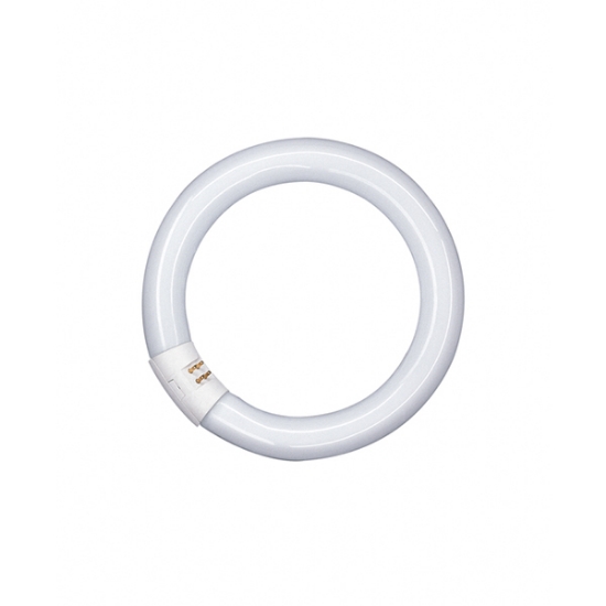 Picture of LEDVANCE Lumilux T9 22W 840 G10Q Circular Fluorescent Lamp (Sold as 12)