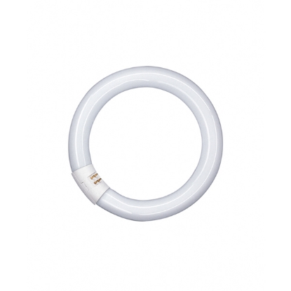 Picture of LEDVANCE Lumilux T9 22W 865 G10Q Circular Fluorescent Lamp (Sold as 12)
