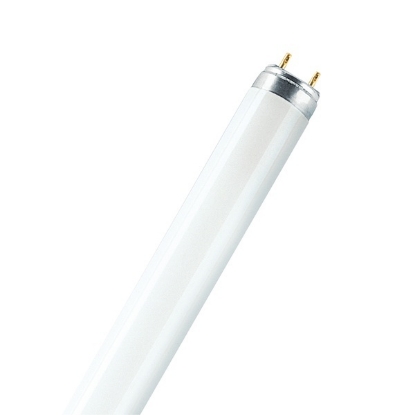 Picture of LEDVANCE LUMILUX T8 30W/6500K Fluorescent Lamp (Sold as 25)