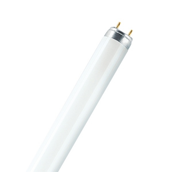 Picture of OSRAM NATURA T8 L 36 W/76 LEDVANCE (Sold as 10)